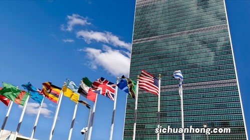 联合国重要机构将落户上海