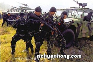 中缅联合突袭行动