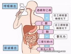 饮酒后心跳加速或是猝死的征象！