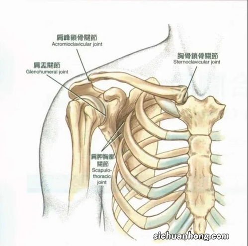 病态迷恋”直角肩