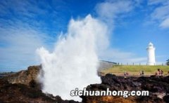 Blowhole·喷水洞