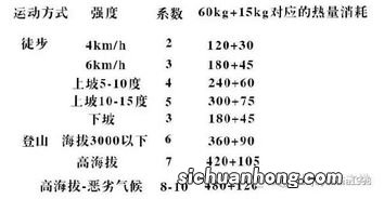 热量消耗公式