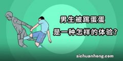 男生蛋蛋被踢究竟是种什么体验？这类疼痛真的能忍耐吗？