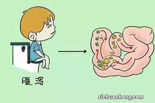 常常有消化不良，腹泻、大便溏薄、不成型的人就能够用白藊豆泡水喝。