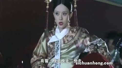 野猫吓的甄嬛早产