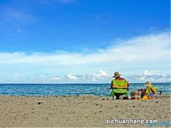 有毒海草正登陆美国海滩