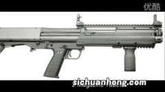 第五位KEL-TEC P-11