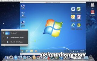 Desktop：在 Mac 上运行 Windows 的最好虚拟机软件