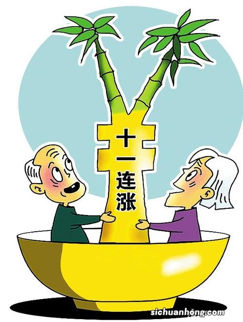 养老金为何会调整？