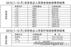 养老保险缴费基数的不同。