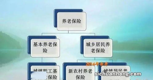个人养老金怎么参保？