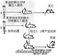 以Cosmos实验为例