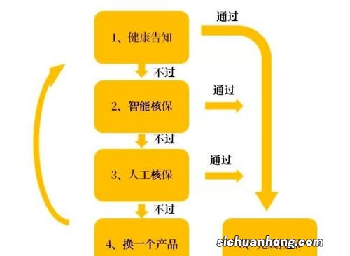 哪些健康问题能投保？
