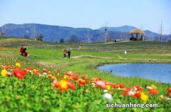 径山花海