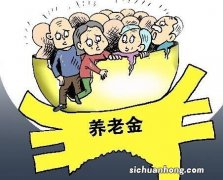 提低控高，缩小养老金差距