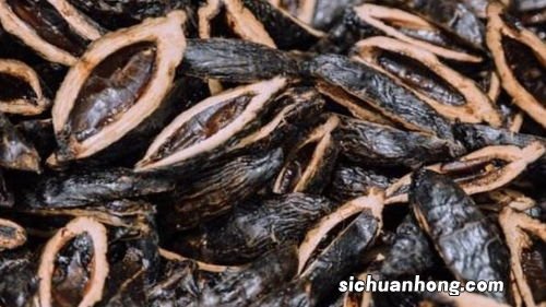 常常咀嚼槟榔有哪些危害?