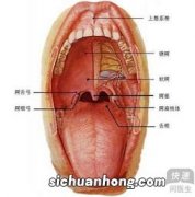 哪些人易得口腔癌？