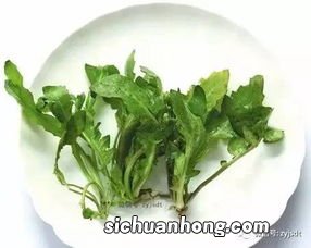 荠菜——清肝明目