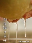 果酸——茄汁冬瓜丸