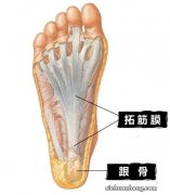 3种痛多是筋膜发炎了