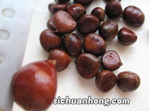 煮板栗怎么煮窍门
