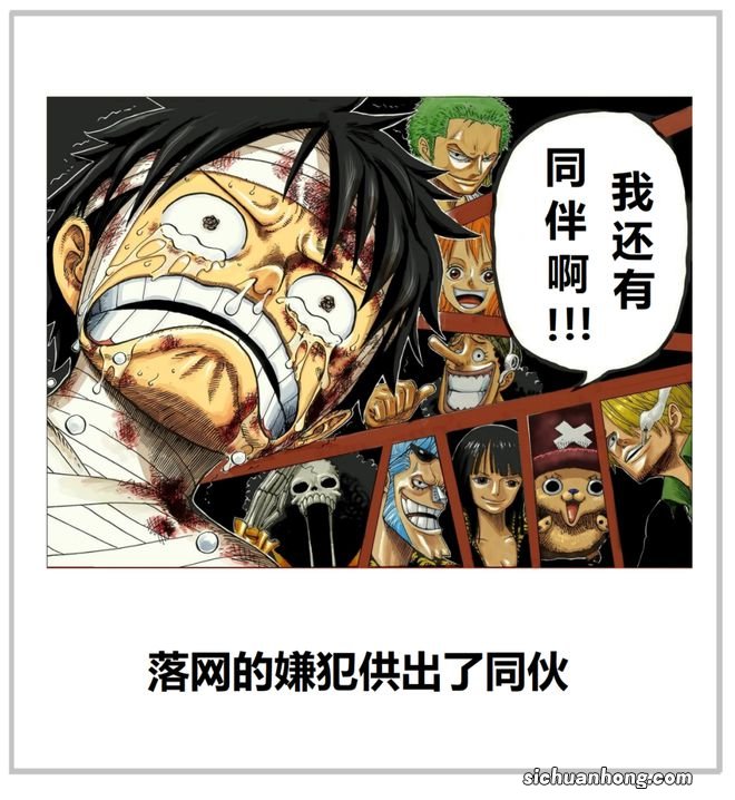 还没来得及成为海贼王，现实中的“路飞一伙”便落网了