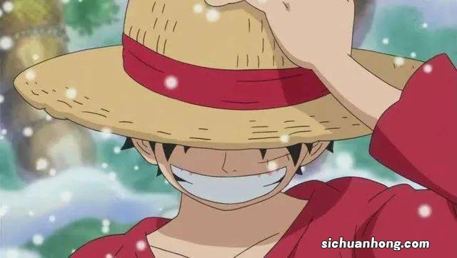 还没来得及成为海贼王，现实中的“路飞一伙”便落网了