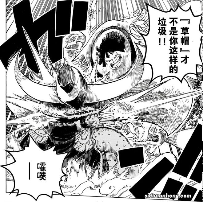 还没来得及成为海贼王，现实中的“路飞一伙”便落网了