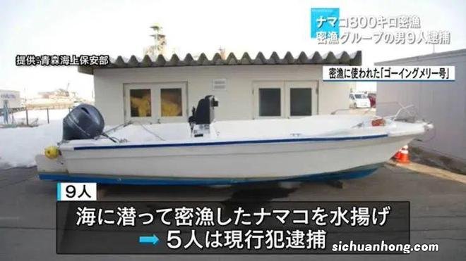 还没来得及成为海贼王，现实中的“路飞一伙”便落网了