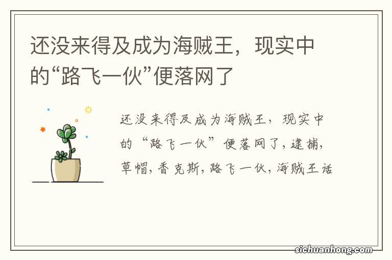 还没来得及成为海贼王，现实中的“路飞一伙”便落网了