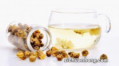 鲜菊花怎么制成花茶