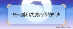 岳云鹏和沈腾合作的相声 岳云鹏和沈腾合作的相声是什么