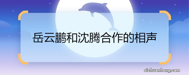 岳云鹏和沈腾合作的相声 岳云鹏和沈腾合作的相声是什么