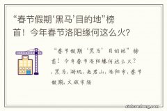 “春节假期‘黑马’目的地”榜首！今年春节洛阳缘何这么火？