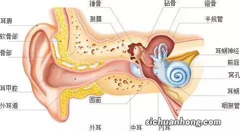 什么是耳膜耳机