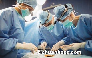 骨折病人后期吃什么好