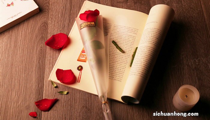 玫瑰的花语是什么 玫瑰的花语