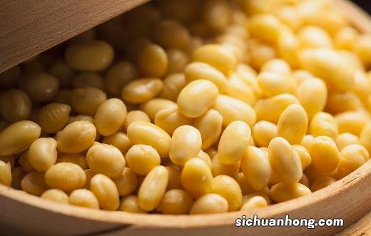 教你认识常见的转基因食品 好看的不一定都是转基因