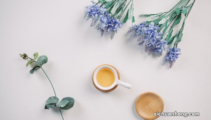 紫罗兰花语象征与寓意 紫罗兰花语