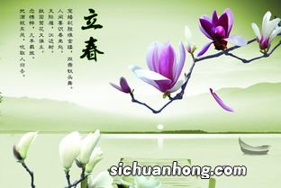 立春应该注意什么