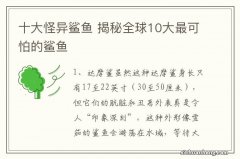 十大怪异鲨鱼 揭秘全球10大最可怕的鲨鱼