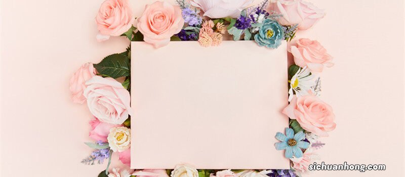 粉玫瑰的花语是什么 粉玫瑰的花语