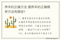 养羊的正确方法 圈养羊的正确喂养方法有哪些？