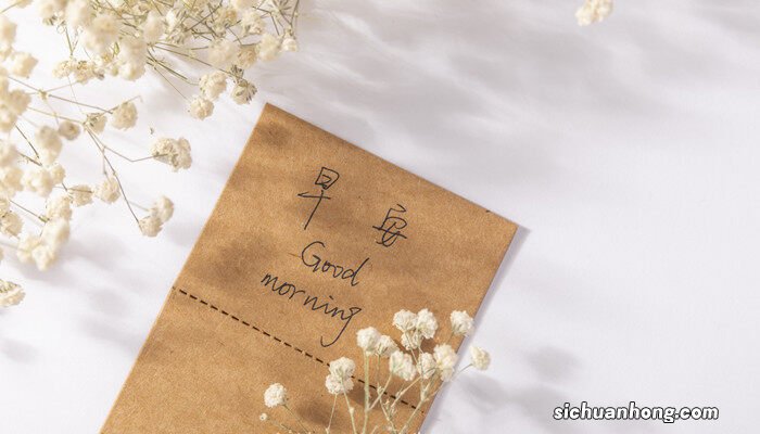 满天星的养殖方法和注意事项 满天星的养殖方法