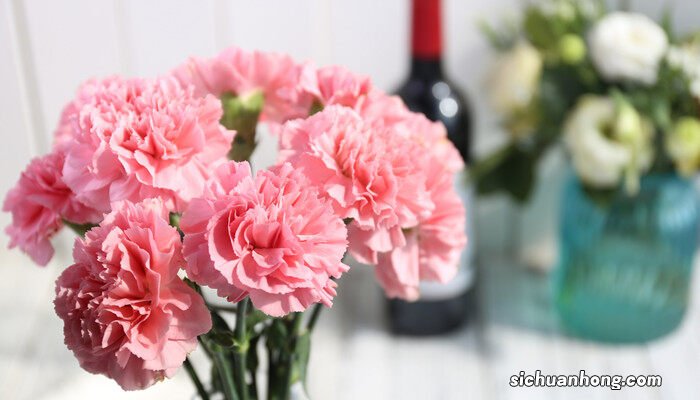 粉色康乃馨花语代表什么 粉色康乃馨花语