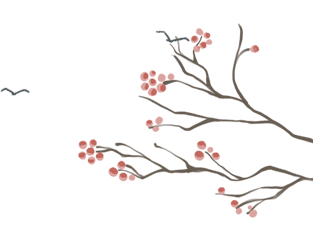 春节期间，永泰迎来赏梅佳期