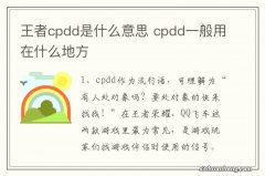 王者cpdd是什么意思 cpdd一般用在什么地方