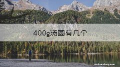 400g汤圆有几个 400g汤圆有几个三全