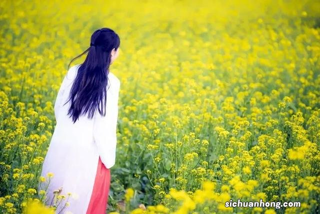 广州出发-韶关1天游,樱花峪赏樱花+行摄雪峒油菜花