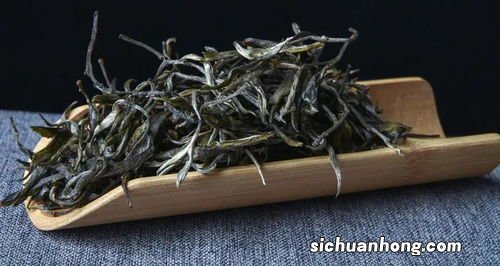 普洱生茶怎么泡才好